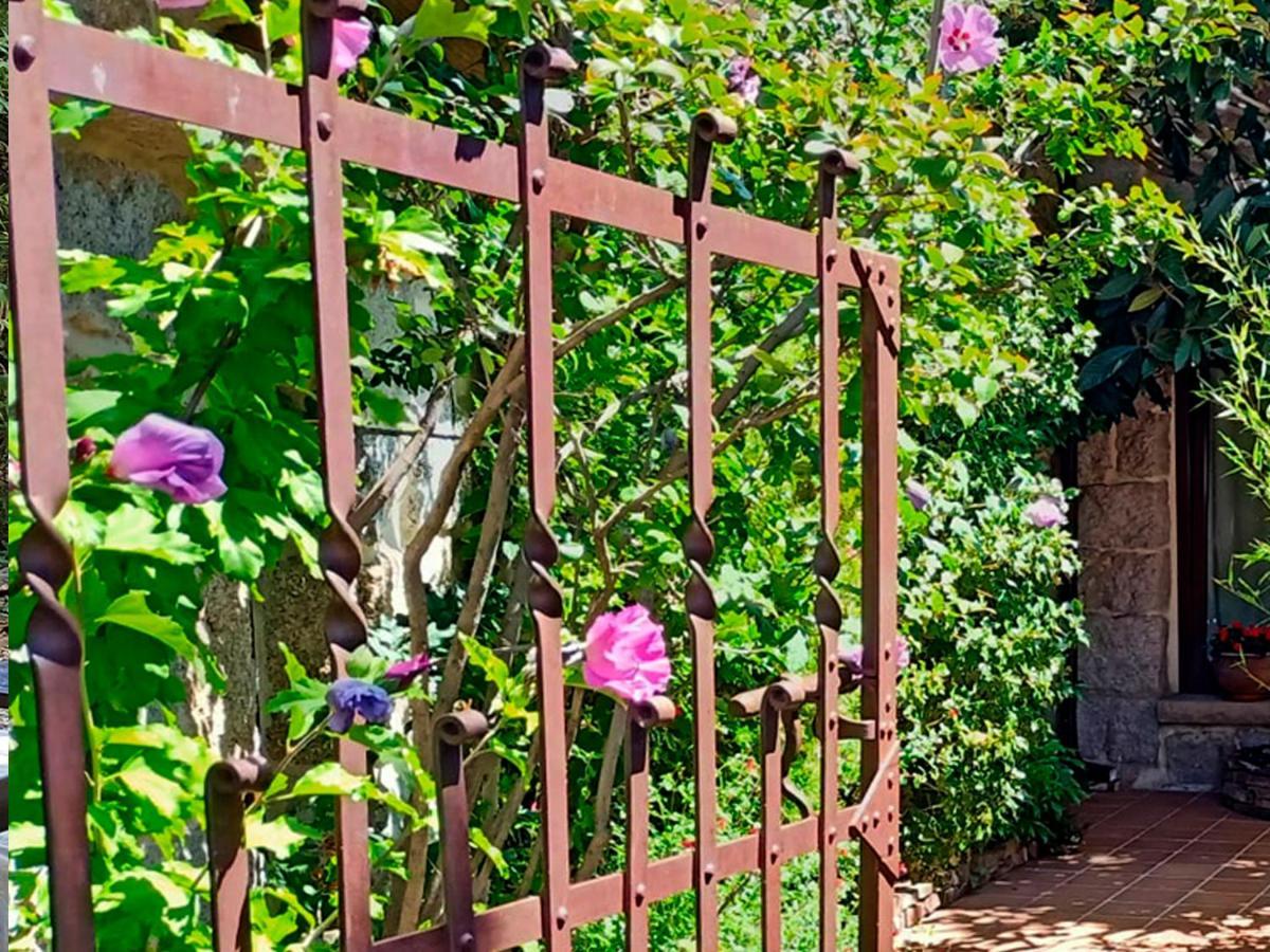 El Patio De Valentina Villa Navacerrada Dış mekan fotoğraf
